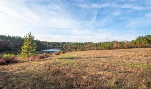 Photo #2 of Lady Mary, Stoneville, NC 374.0 acres