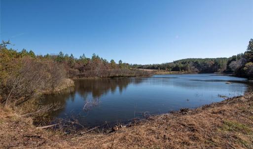 Photo #6 of Lady Mary, Stoneville, NC 374.0 acres