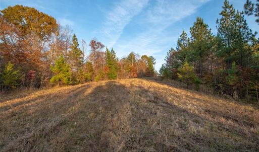 Photo #42 of Lady Mary, Stoneville, NC 374.0 acres