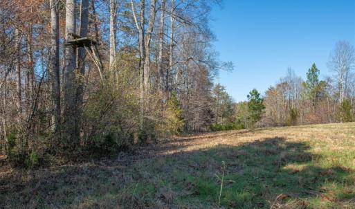 Photo #13 of Lady Mary, Stoneville, NC 374.0 acres
