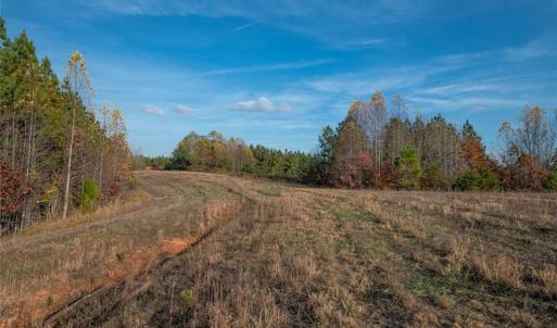 Photo #12 of Lady Mary, Stoneville, NC 374.0 acres