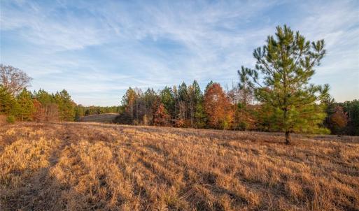 Photo #3 of Lady Mary, Stoneville, NC 374.0 acres