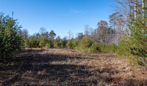 Photo #36 of Lady Mary, Stoneville, NC 374.0 acres