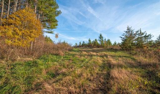 Photo #1 of Lady Mary, Stoneville, NC 374.0 acres