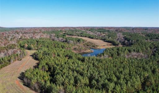 Photo #5 of Lady Mary, Stoneville, NC 374.0 acres