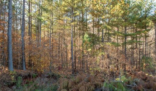 Photo #30 of Lady Mary, Stoneville, NC 374.0 acres