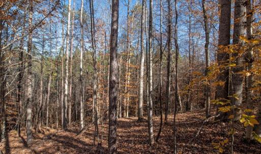Photo #33 of Lady Mary, Stoneville, NC 374.0 acres