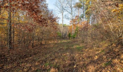 Photo #18 of Lady Mary, Stoneville, NC 374.0 acres