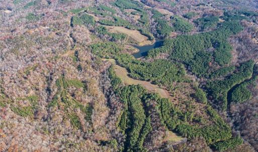 Photo #37 of Lady Mary, Stoneville, NC 374.0 acres