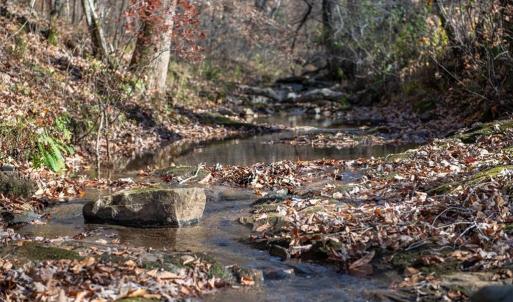 Photo #15 of Lady Mary, Stoneville, NC 374.0 acres