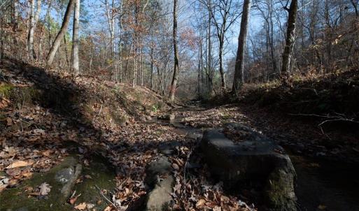 Photo #35 of Lady Mary, Stoneville, NC 374.0 acres