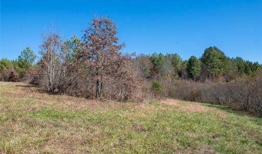 Photo #29 of Lady Mary, Stoneville, NC 374.0 acres