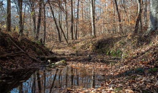 Photo #25 of Lady Mary, Stoneville, NC 374.0 acres