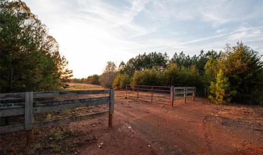 Photo #21 of Lady Mary, Stoneville, NC 374.0 acres