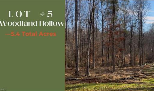 Photo #4 of 731 Labrador, Winston-Salem, NC 5.4 acres