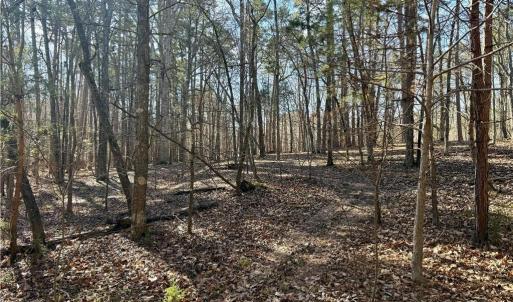 Photo #23 of 200 Harbor, Lexington, NC 4.1 acres