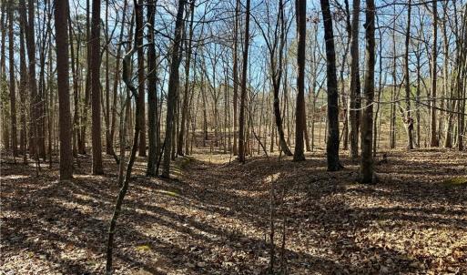 Photo #17 of 200 Harbor, Lexington, NC 4.1 acres