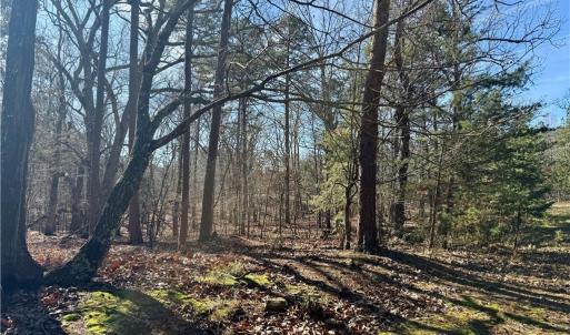 Photo #32 of 200 Harbor, Lexington, NC 4.1 acres