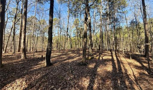 Photo #33 of 200 Harbor, Lexington, NC 4.1 acres