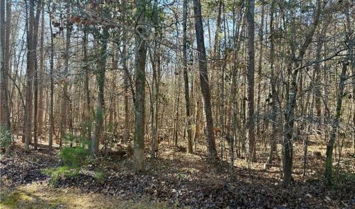 Photo #15 of 200 Harbor, Lexington, NC 4.1 acres