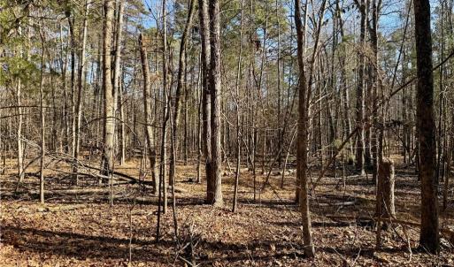 Photo #40 of 200 Harbor, Lexington, NC 4.1 acres