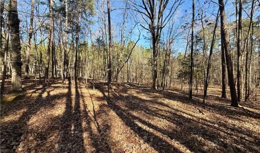 Photo #29 of 200 Harbor, Lexington, NC 4.1 acres
