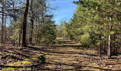 Photo #4 of 200 Harbor, Lexington, NC 4.1 acres