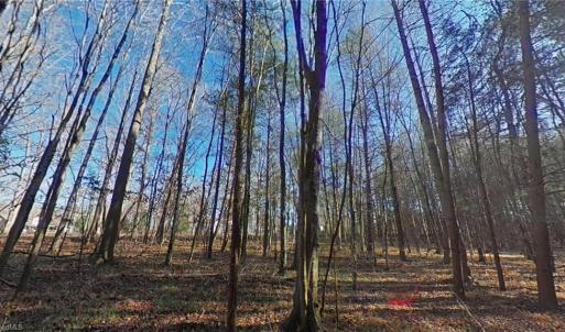 Photo #6 of Eden, Stoneville, NC 7.0 acres