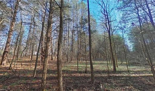 Photo #7 of Eden, Stoneville, NC 7.0 acres