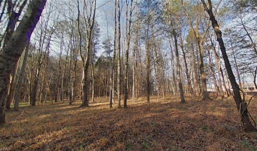 Photo #9 of Eden, Stoneville, NC 7.0 acres