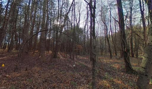 Photo #8 of Eden, Stoneville, NC 7.0 acres