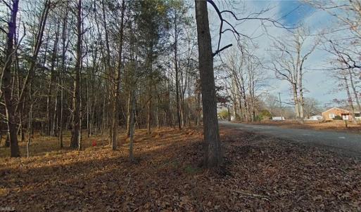 Photo #10 of Eden, Stoneville, NC 7.0 acres
