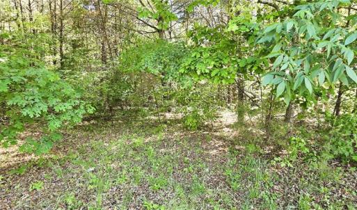 Photo #4 of Eden, Stoneville, NC 1.5 acres