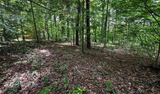 Photo #3 of Virgilina, Cana, VA 0.8 acres