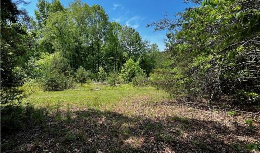 Photo #6 of Virgilina, Cana, VA 1.0 acres