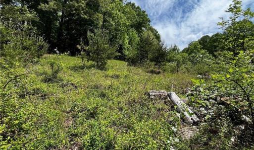 Photo #7 of Virgilina, Cana, VA 1.0 acres