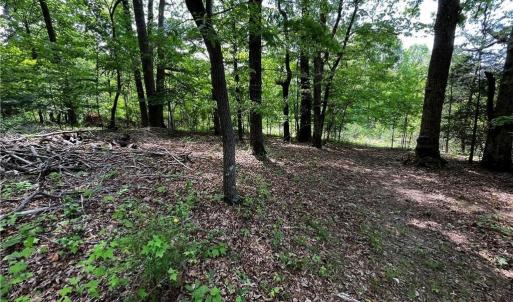 Photo #5 of Virgilina, Cana, VA 1.0 acres