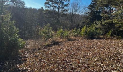 Photo #4 of Virgilina, Cana, VA 1.0 acres