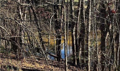 Photo #8 of Virgilina, Cana, VA 1.0 acres