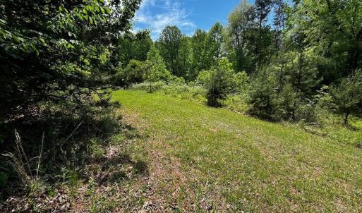 Photo #3 of Virgilina, Cana, VA 0.8 acres