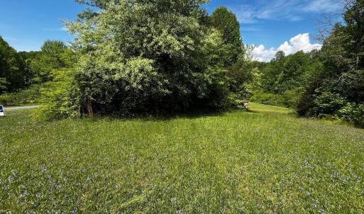 Photo #1 of Virgilina, Cana, VA 0.8 acres