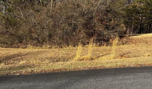 Photo #4 of Virgilina, Cana, VA 0.8 acres