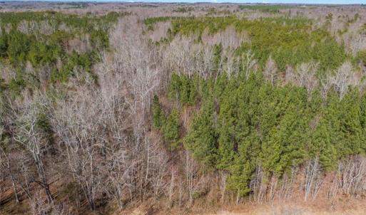 Photo #7 of 7275 Atkins, Mebane, NC 15.2 acres