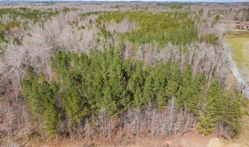 Photo #5 of 7284 NC Highway 49, Mebane, NC 13.5 acres