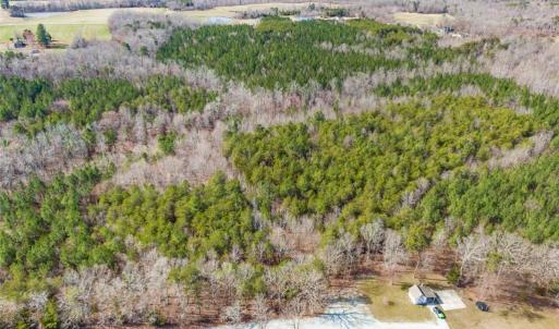 Photo #9 of 7284 NC Highway 49, Mebane, NC 13.5 acres