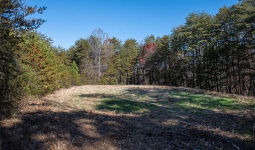 Photo #2 of State Line, Stoneville, NC 81.0 acres