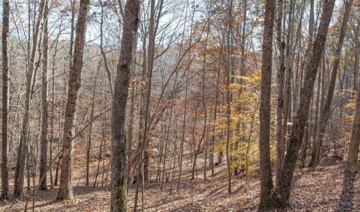Photo #10 of State Line, Stoneville, NC 81.0 acres
