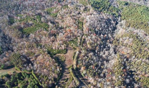 Photo #4 of State Line, Stoneville, NC 81.0 acres