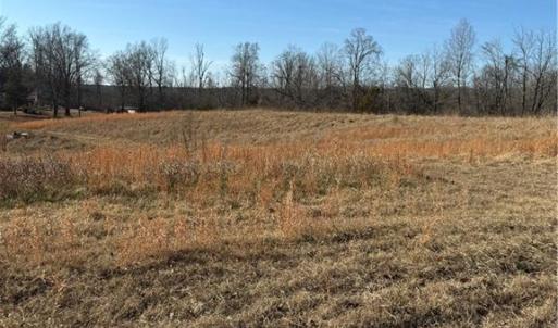 Photo #17 of 1295, 1297 & 1350 Angell, Madison, NC 24.4 acres