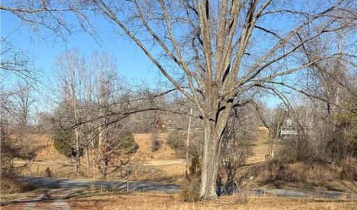 Photo #10 of 1295, 1297 & 1350 Angell, Madison, NC 24.4 acres